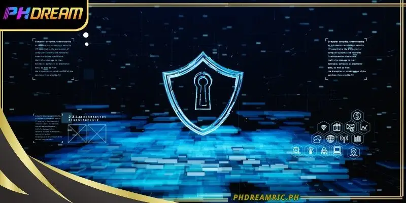 Privacy and security awareness promotes cooperative protection efforts